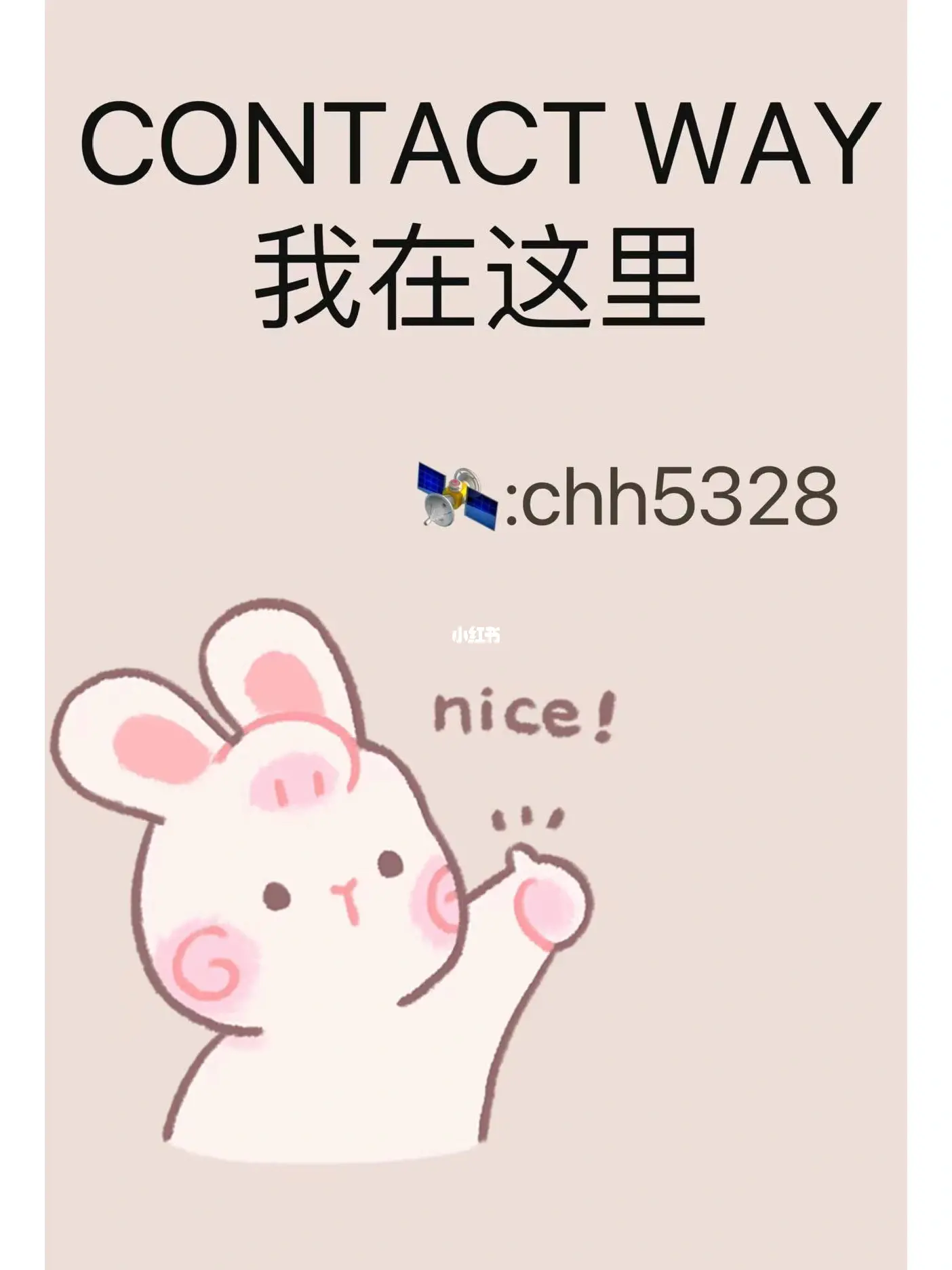 无码一区中文高清资源免费下载,畅享极致观影体验,尽在这里 无码一区中文高清资源免费下载,畅享极致观影体验,尽在这里