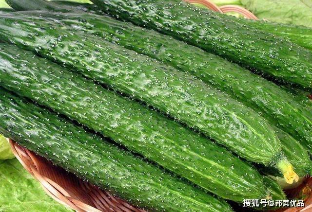 黄瓜视频色揭秘最新热门内容，轻松观看高清视频，畅享精彩视觉盛宴