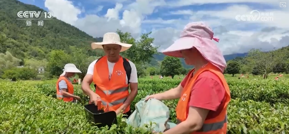 乡村大乳村妇疯狂做爱浜故事,揭秘激情背后的秘密,探索乡村爱情真谛 乡村大乳村妇疯狂做爱浜故事,揭秘激情背后的秘密,探索乡村爱情真谛