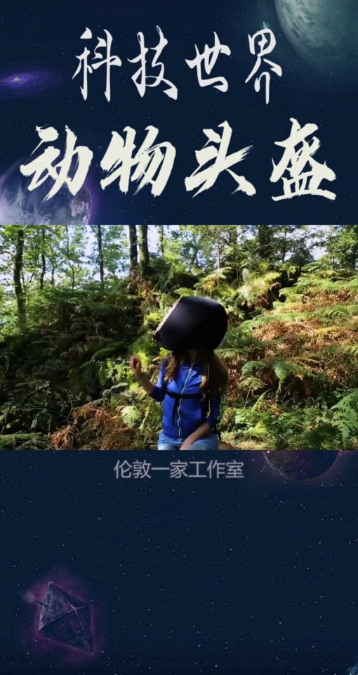 伊色成人探索神秘世界，解锁全新体验，发现更多精彩