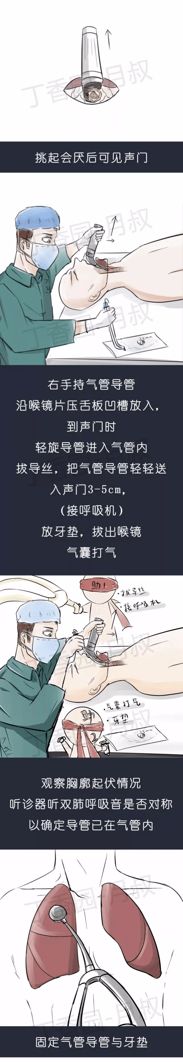 动漫导管视频精彩集锦，热门动漫导管视频推荐，经典动漫导管视频合集
