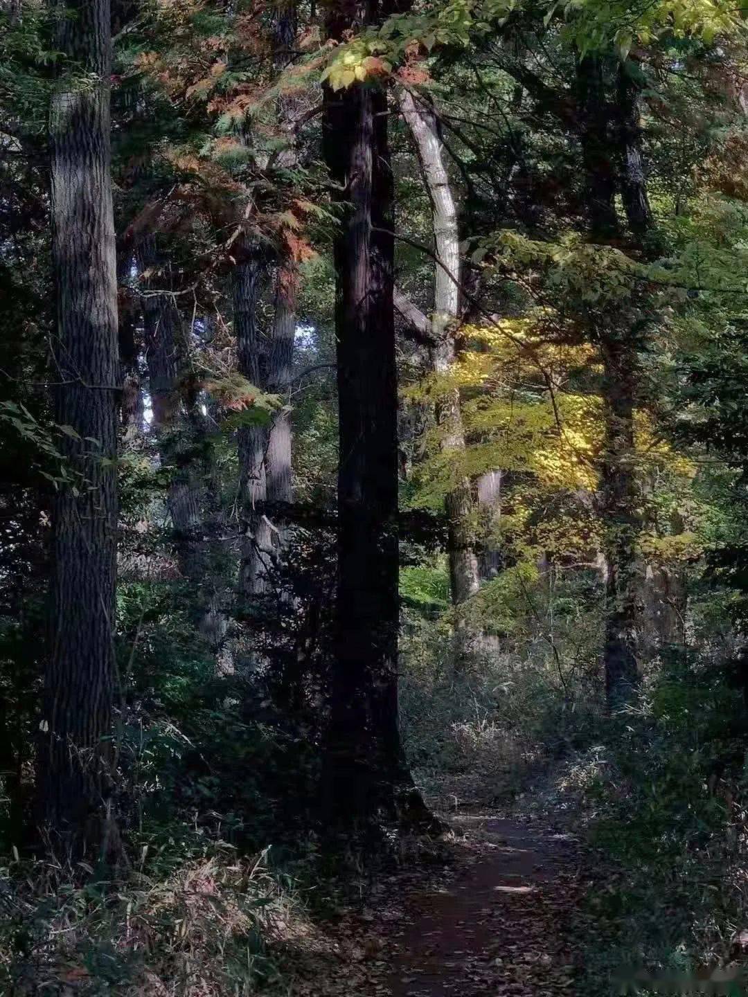 1.国产野外自拍探秘自然之美