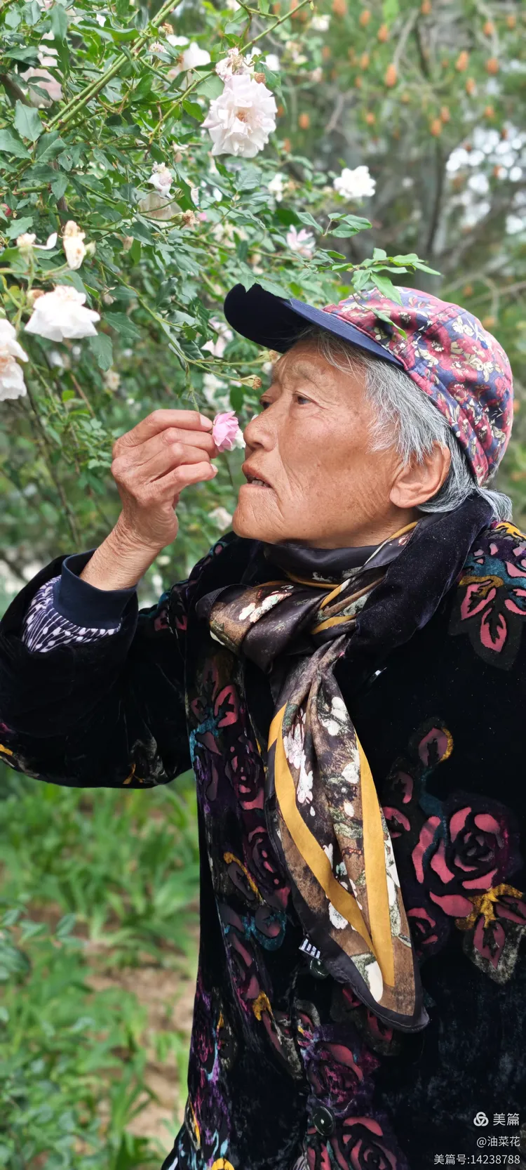 1.母亲的绣感温暖了岁月时光