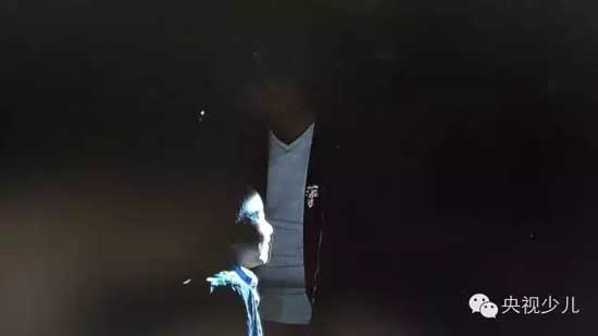 午夜alss爱丝的秘密花园，探索未知，沉醉梦幻，揭开神秘面纱