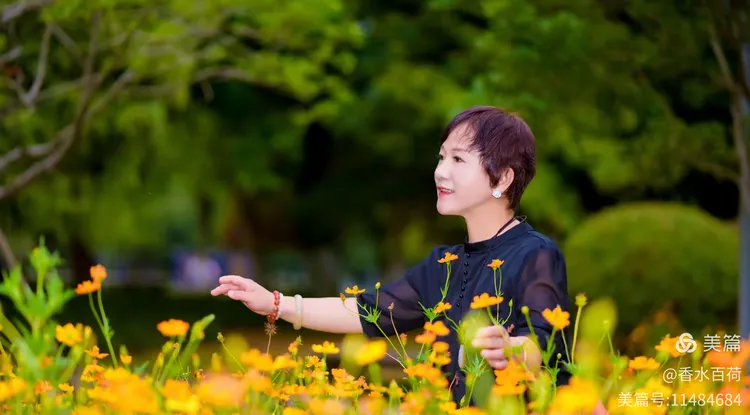老太TVXXXX带你探索怀旧经典，重温岁月温情，发现生活新乐趣