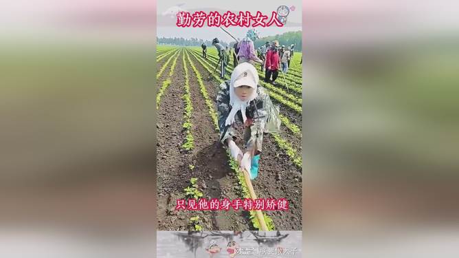 1.国产精品农村妇女的勤劳与智慧