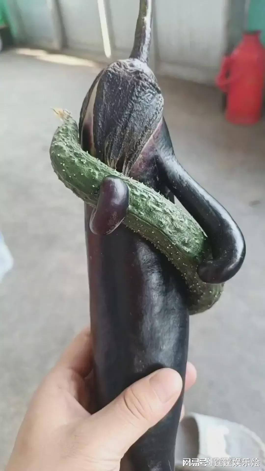 3.腿张开我要放黄瓜茄子，解锁厨房趣味新姿势，试试这些果蔬妙招