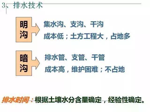 四川BWBWBWBWBwBWB区别解析与比较分析，深入探讨，全面了解，掌握要点
