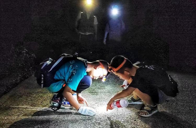 午夜AV片神秘诱惑引爆全网热议，探索暗夜激情，揭秘幕后制作故事
