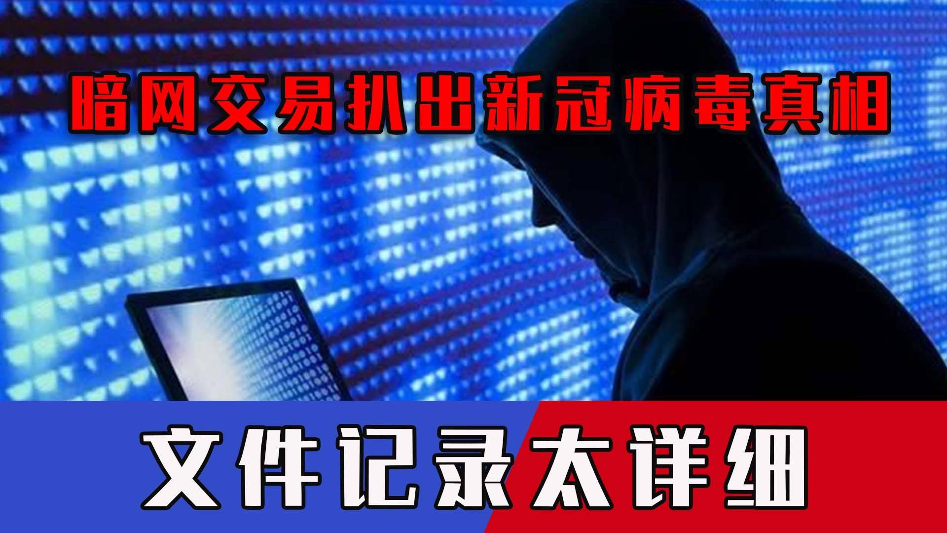 卖婬全套看A片浜揭秘地下产业链，暗网交易内幕曝光，警方重拳打击