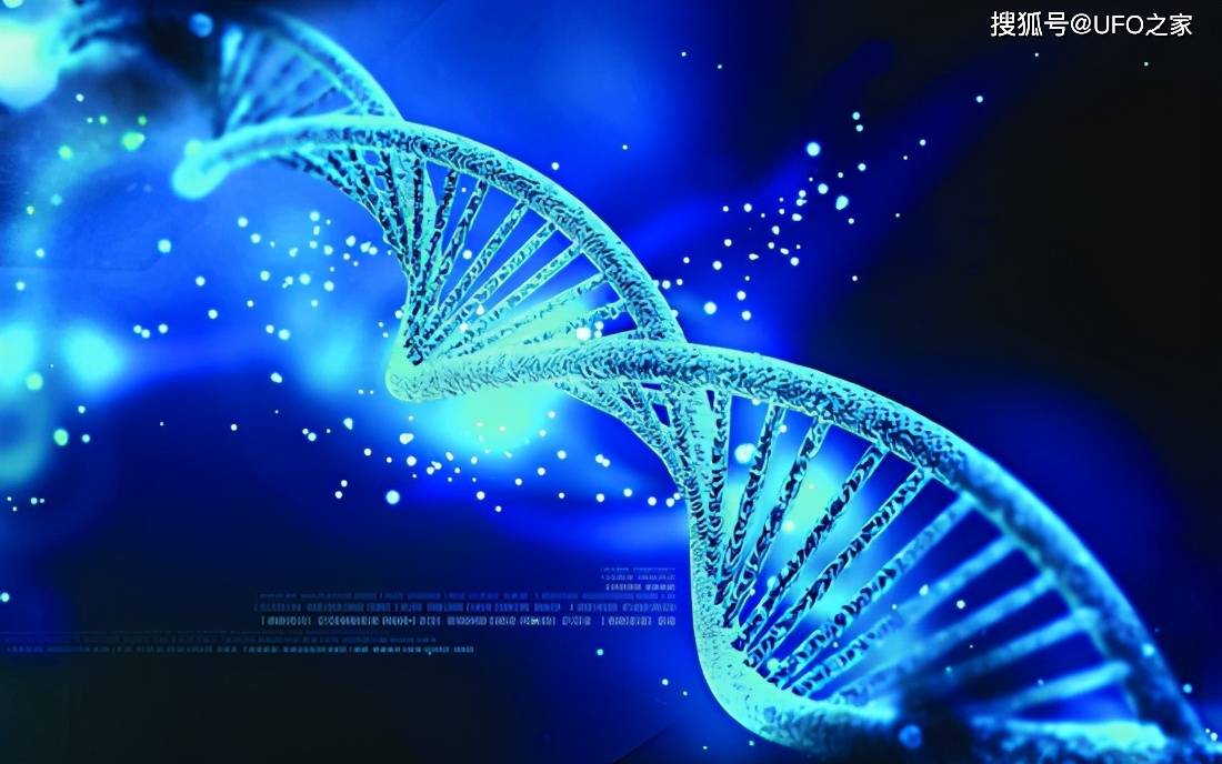 挠痒痒测试实验揭秘，科学解析触觉反应，探索身体敏感区域奥秘