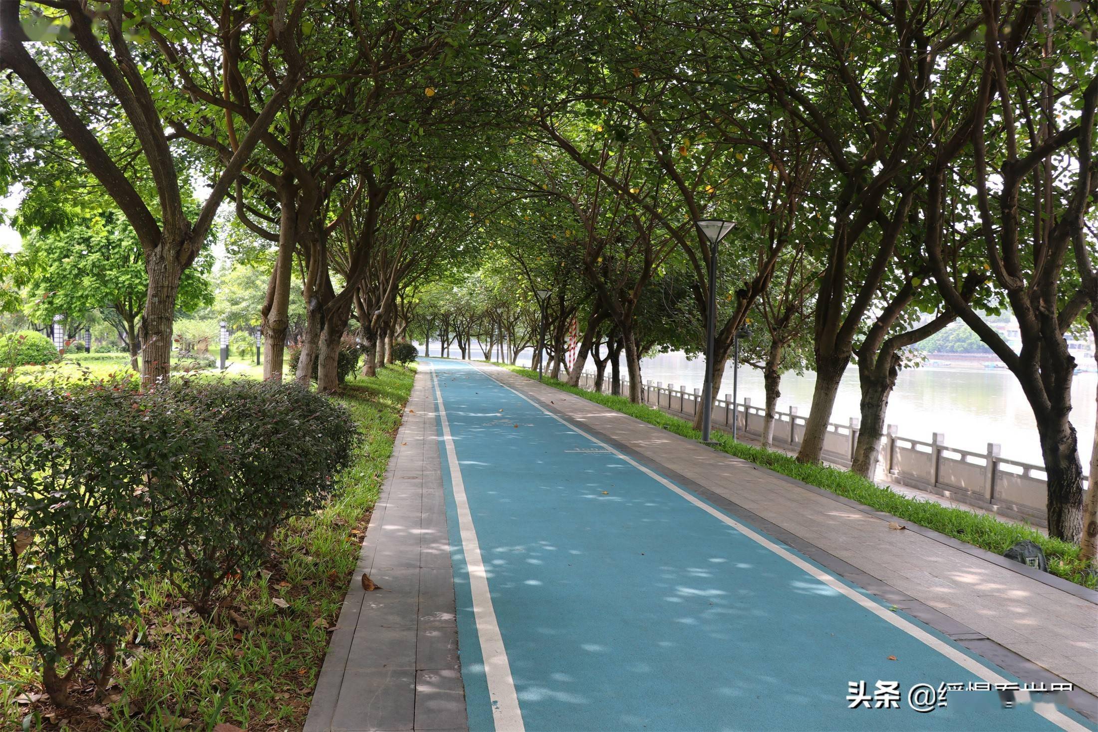 探索cekc路-9的奥秘，揭秘其独特魅力，掌握核心技巧与实用指南