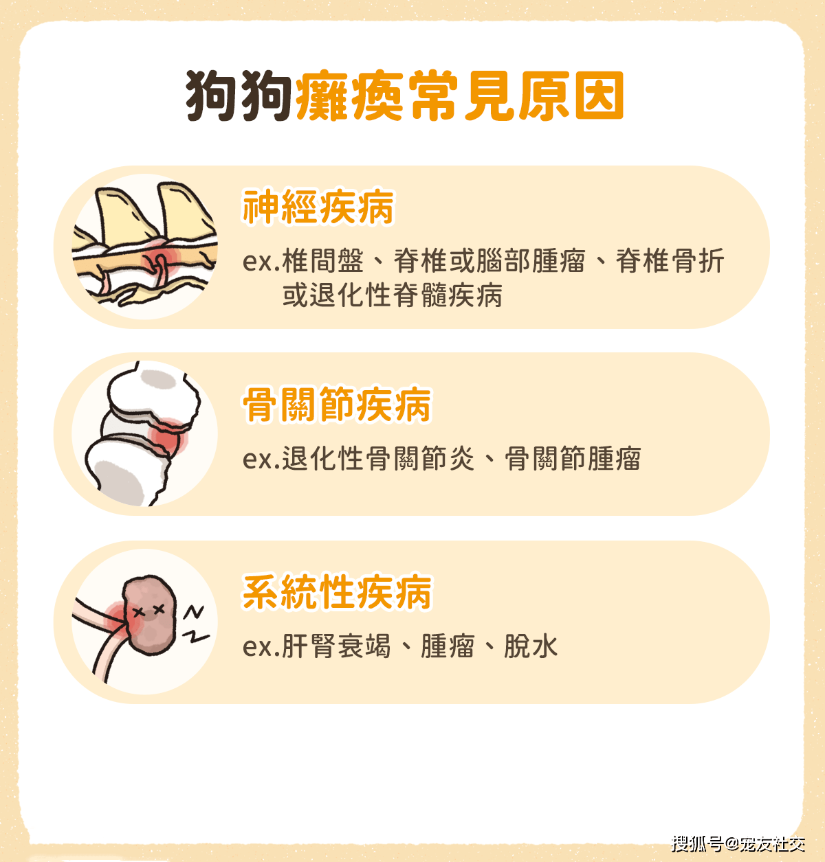 性生生活性生交A级1的健康指南，提升亲密关系质量，探索和谐性生活技巧