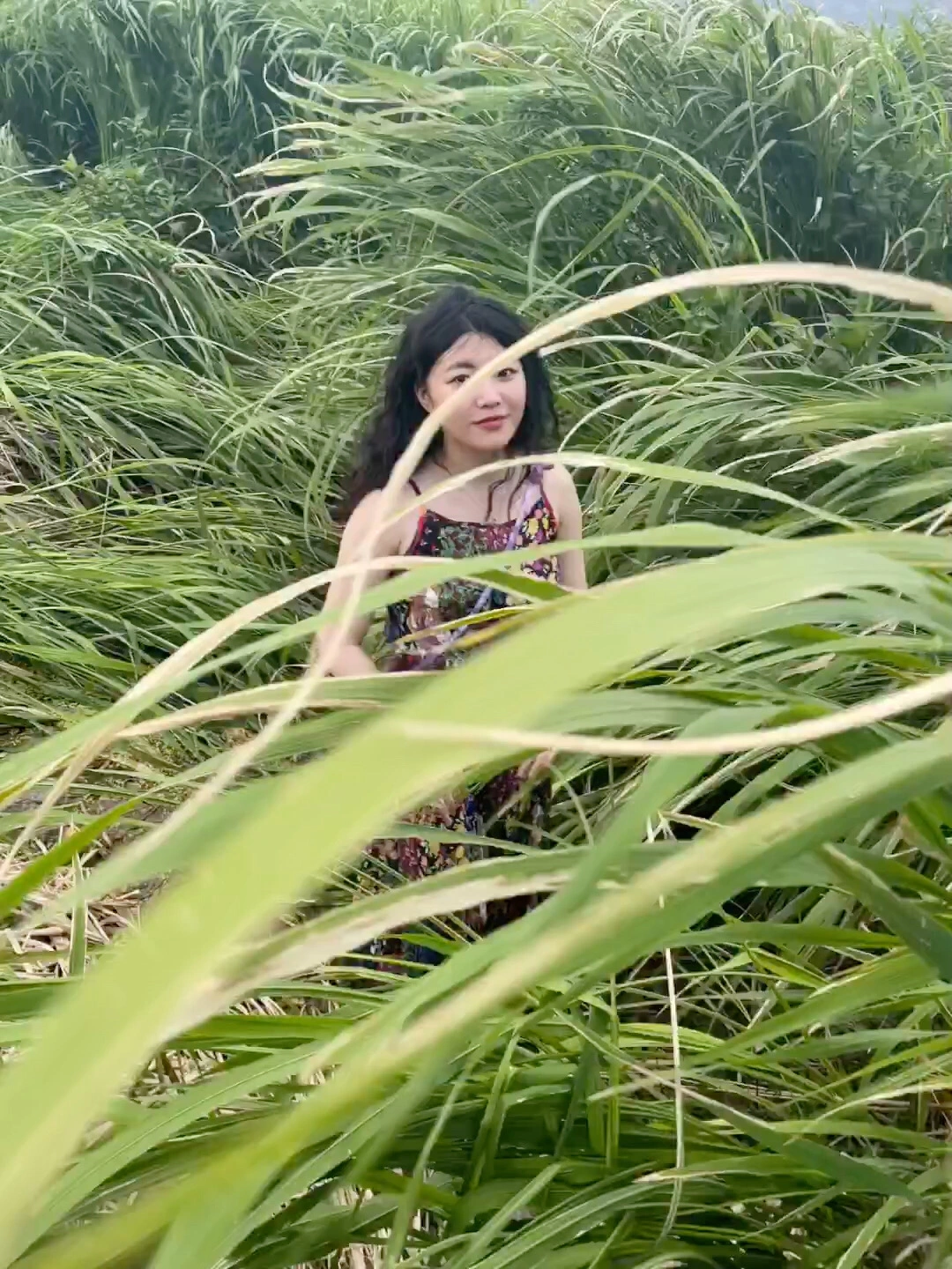 青青草无码久久精品绽放自然之美，清新视觉盛宴，尽享无码高清世界