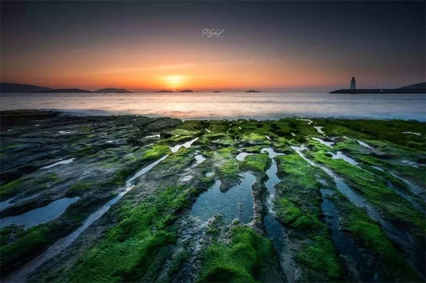 "黄色丁五月绽放初夏芬芳，温暖阳光下的浪漫，五月花海如诗如画"