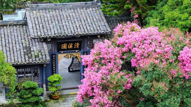 丁香六月婷婷久久综合绽放盛夏芬芳，满园丁香飘香，婷婷花影醉人心