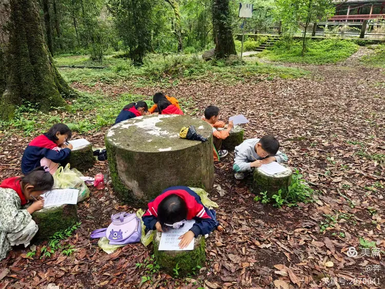 青青草A的美丽传说，探索自然奥秘，感受清新气息，让心灵回归宁静