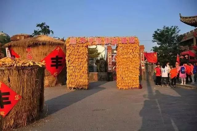 乡村一级A片振兴乡村文化打造特色A片产业新标杆