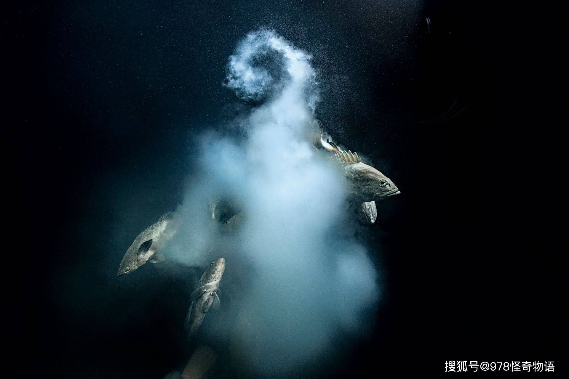 *JLZZJLZZ亚洲女人高潮浜的极致体验，探索神秘快感，解锁愉悦巅峰*