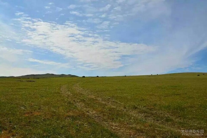 青青草色婷婷春意盎然，大地披绿装，风光无限好
