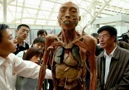 日本人体网探索健康奥秘，健身秘诀，营养指南