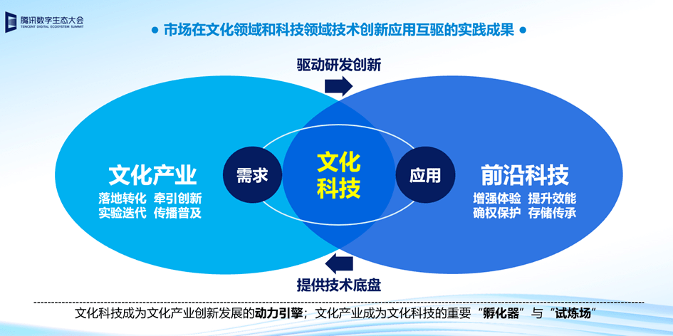 欧美与动交ZoZ0z的独特魅力，探索文化差异与创新融合，发现更多精彩