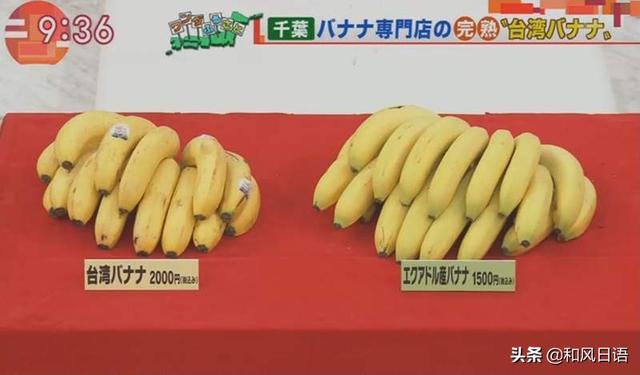 国产香蕉在线观看免费高清国产香蕉最新资源