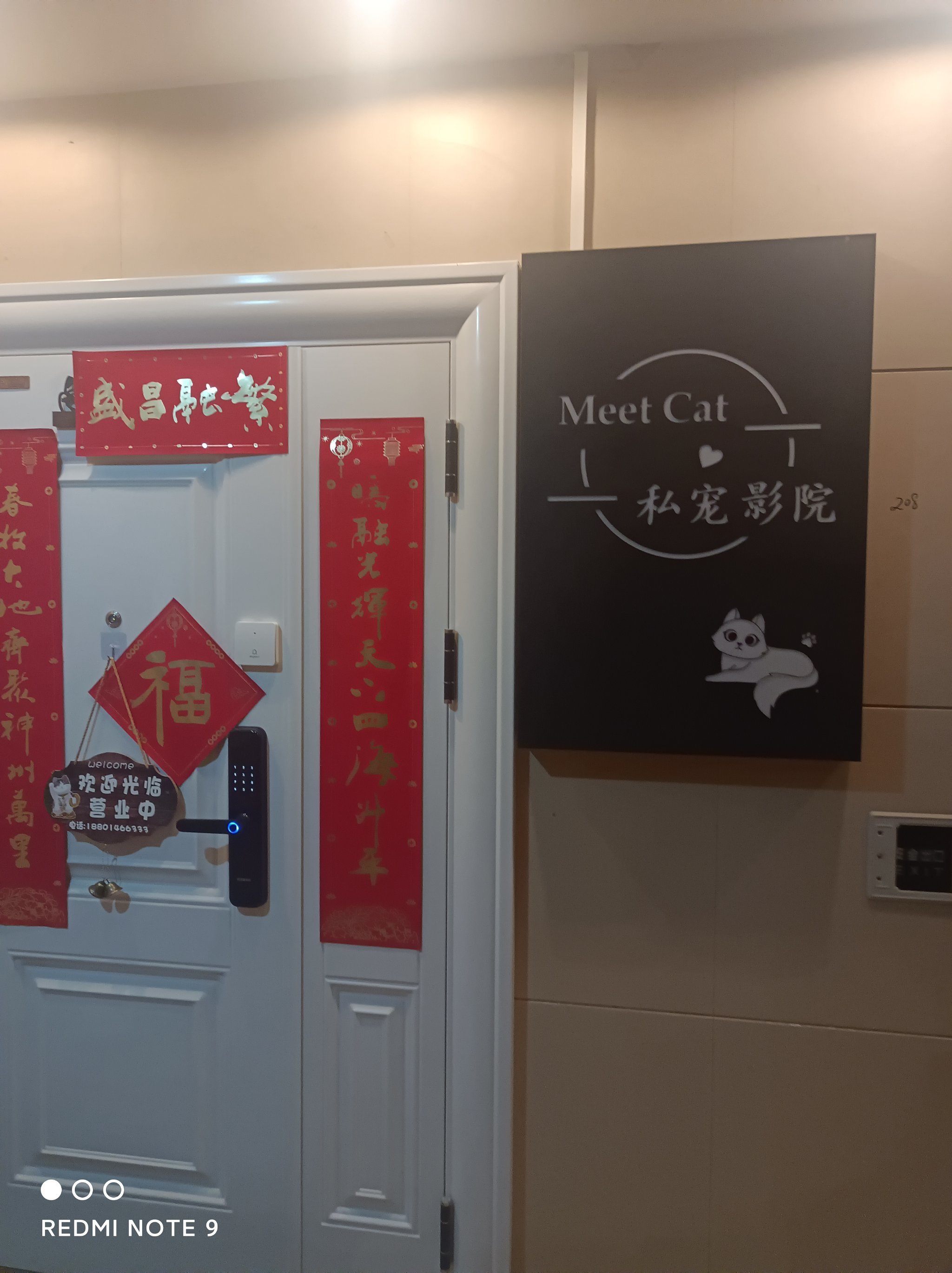 日韩人妻丰满无码A片，激情诱惑，深夜私密影院独家放送