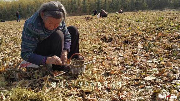 农村老奶奶的田园生活点滴温暖人心的乡村故事