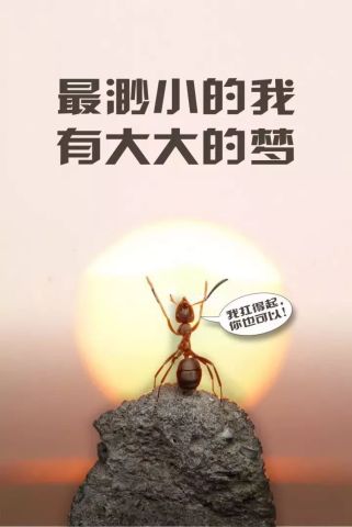 2.李先侠的奋斗故事,感人至深,激励人心