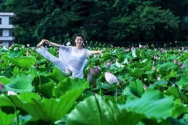 花蝴蝶免费看成人A片浜，精彩内容随心看，高清无码资源等你来
