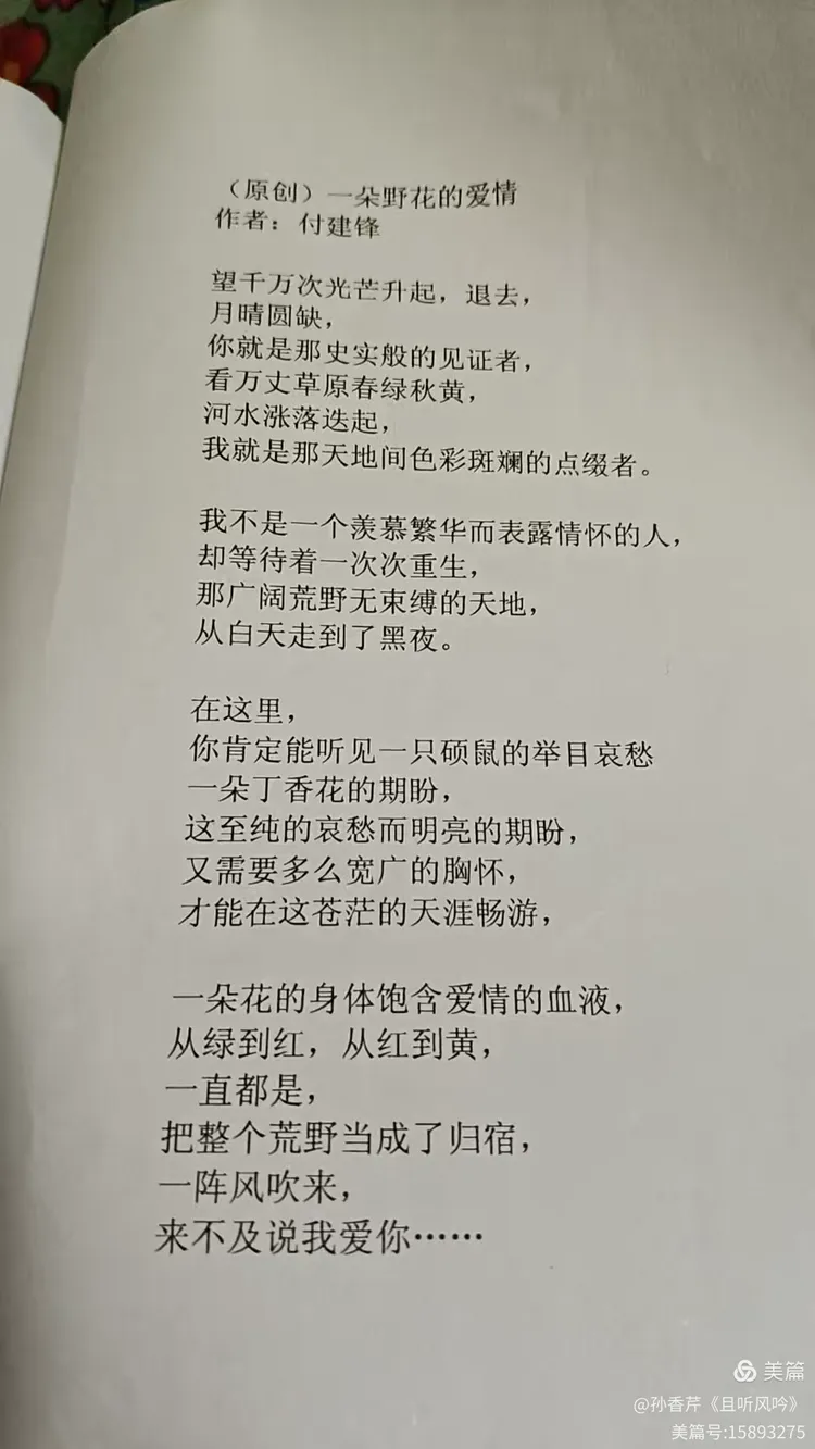 2.一男一女相遇一片浜，一级心动瞬间，谱写爱情篇章