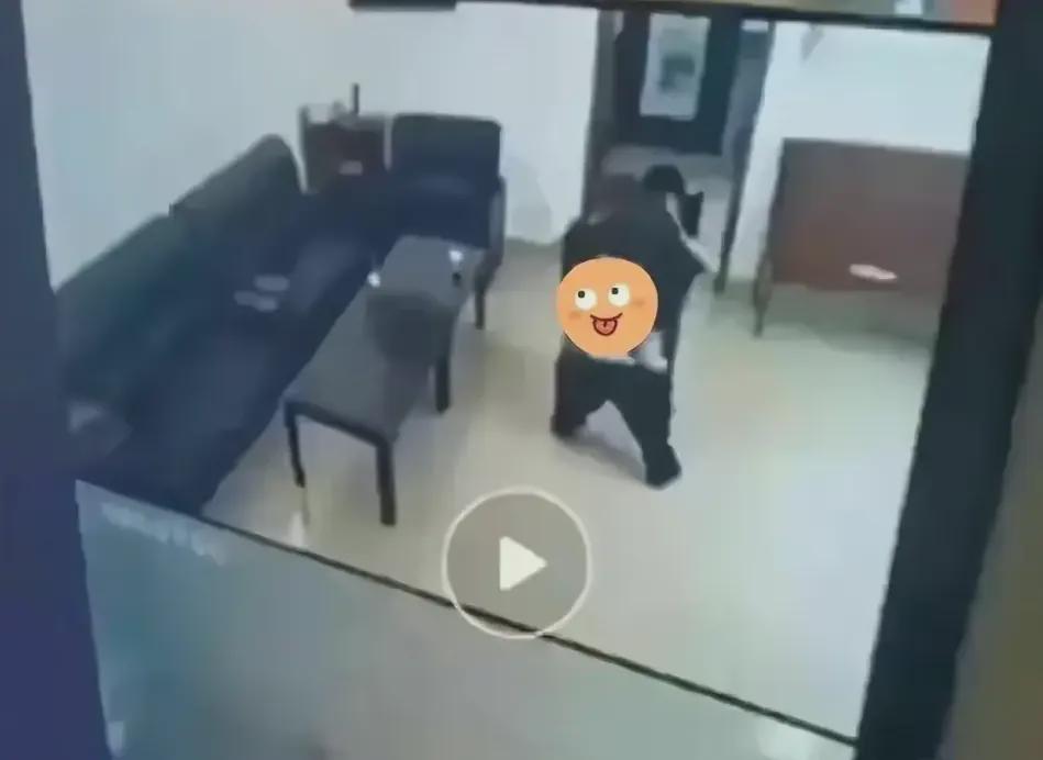 1.sifang偷拍事件引发社会关注