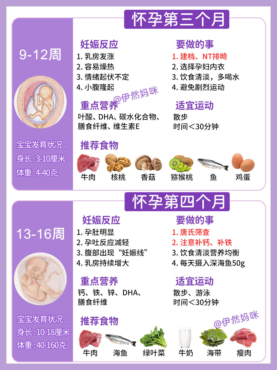 中国国产孕妇孕交100指南，孕期必备，健康护理，科学建议