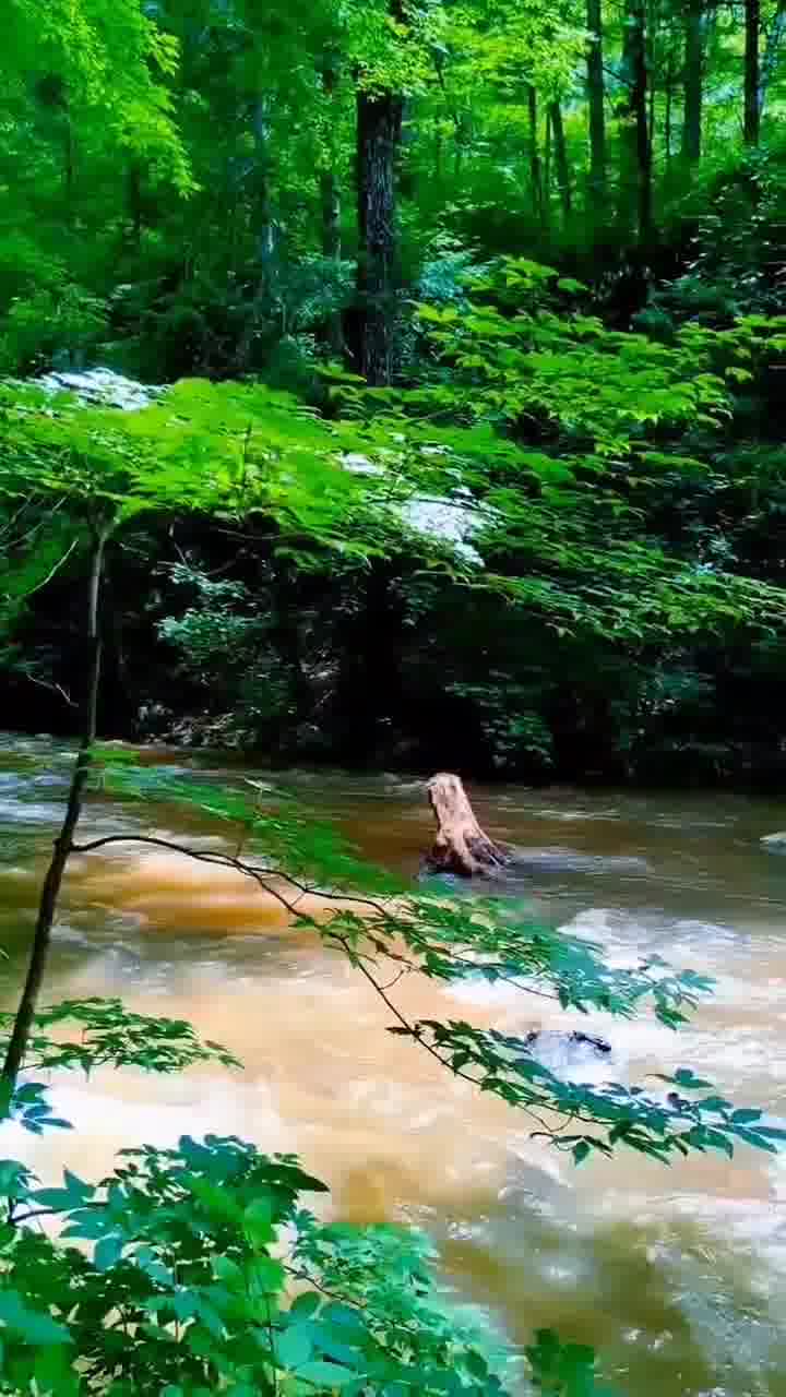 *青壮妇女裸体PiCs震撼写真，艺术人体，大胆展现自然之美*