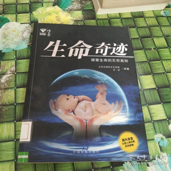 艳妇大生殖pias的惊人秘密，探索生育奇迹，揭秘女性生殖健康真相