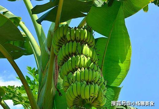 2.伊人久久大香线蕉AV一区美，绝色风华，魅惑无限，心动瞬间永恒