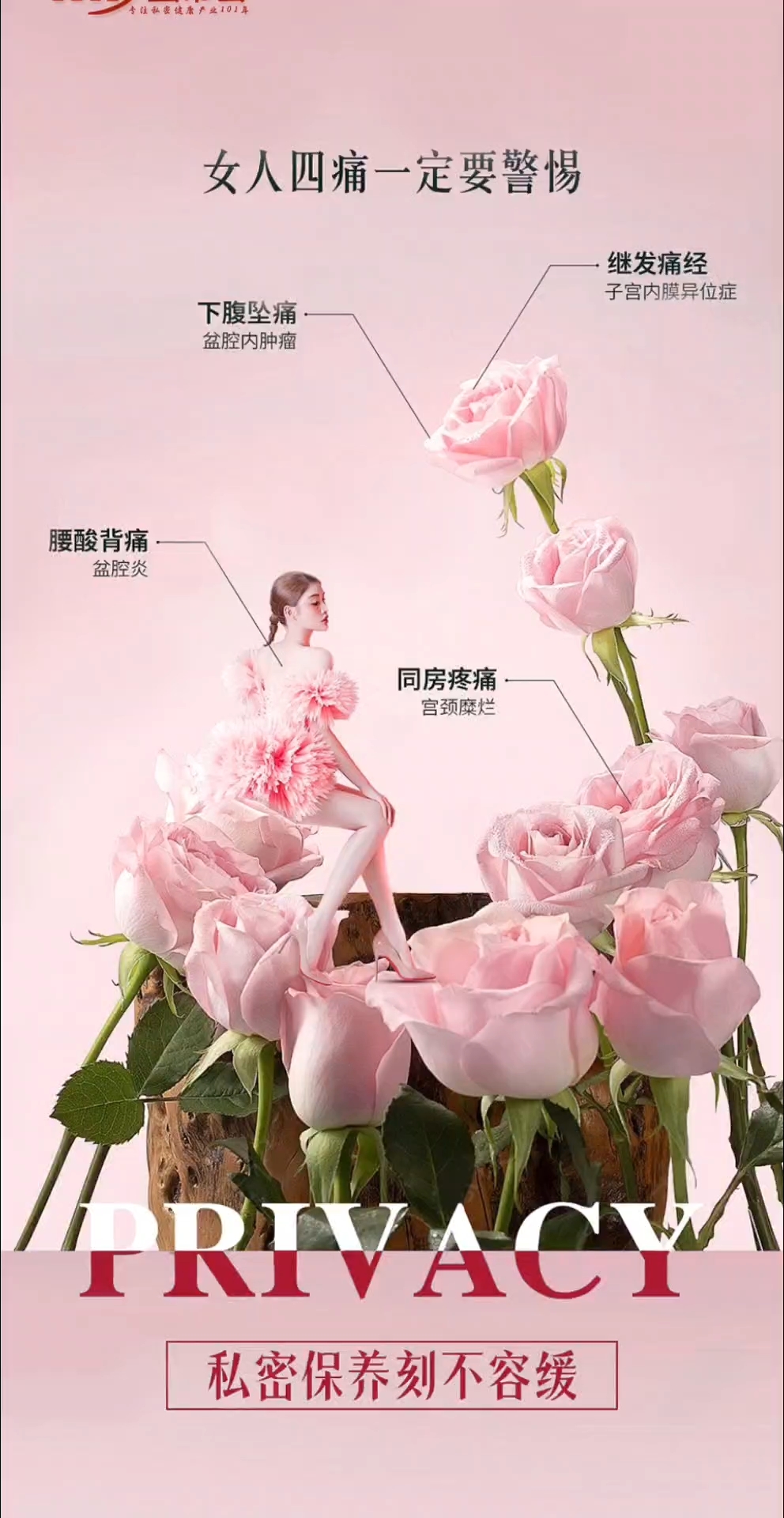 成人密芽绽放独特魅力，探索成熟之美，感受自信风采