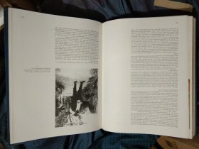 苍井空50岁生日引热议，粉丝送上祝福，回顾其经典作品