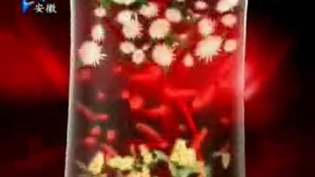 90岁老太太毛片浜传奇人生，晚年绽放艺术光芒，感动万千观众