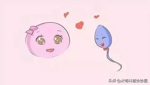1.男女啪啪做爰高潮全过程体验分享