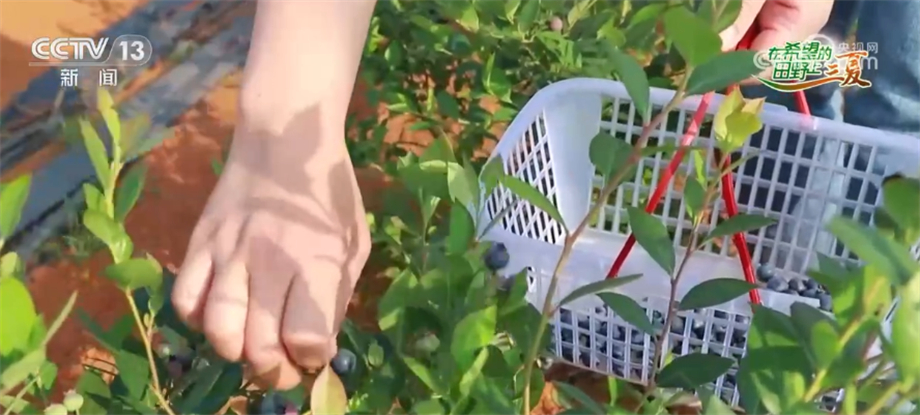 撸撸干撸撸草带来快乐时光，轻松享受生活，释放压力每一天