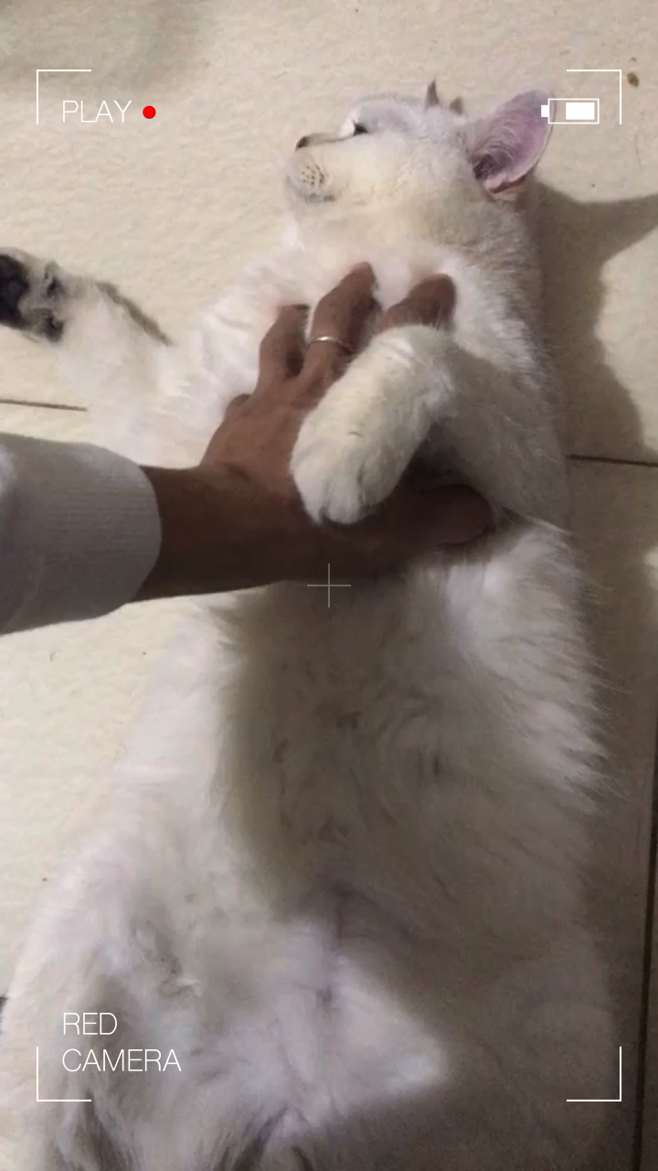 撸撸干撸撸草的生活妙招，轻松解决烦恼，享受舒适时光