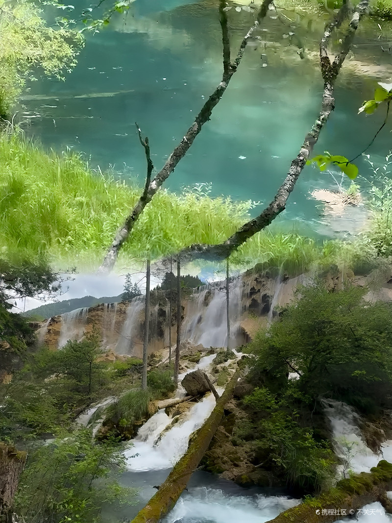2.久久久青草国，探寻自然之美，绿色生态家园，共筑可持续发展未来