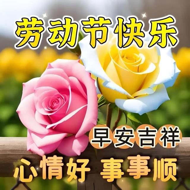 日日摸日日添日日碰生活妙招，轻松上手，快乐每一天
