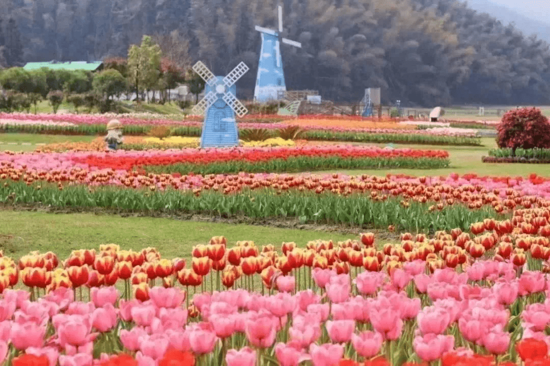 狠狠狠色丁香久久久绽放迷人芬芳，醉人花香弥漫四季，浪漫花海等你来赏