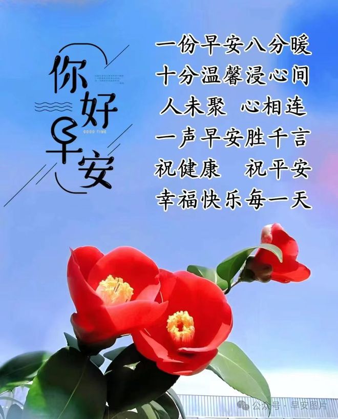 久久久久伊人相伴岁月静好，共赏花开浪漫时光，携手谱写永恒爱恋