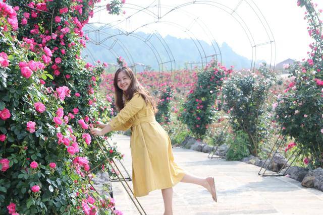 婷婷五月天丁香绽放芬芳，初夏浪漫邂逅，谱写青春动人诗篇