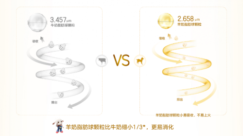 日本孕妇好丰满身材迷人，孕期穿搭时尚大方，展现独特孕味魅力