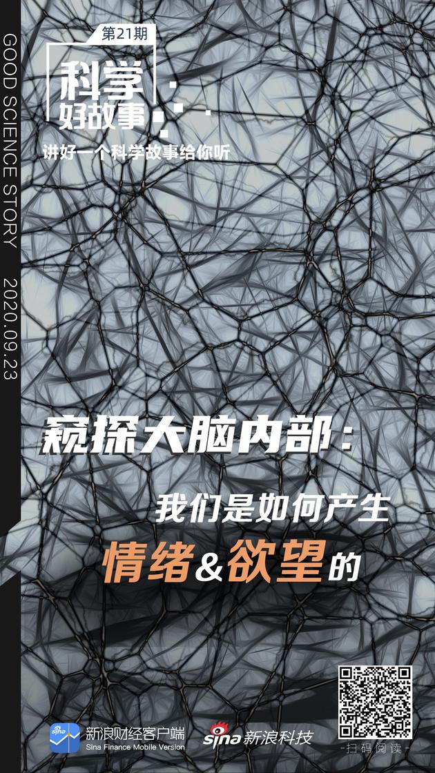 2.囗交色情完整版，深度探索欲望，解锁隐秘快感，极致诱惑体验